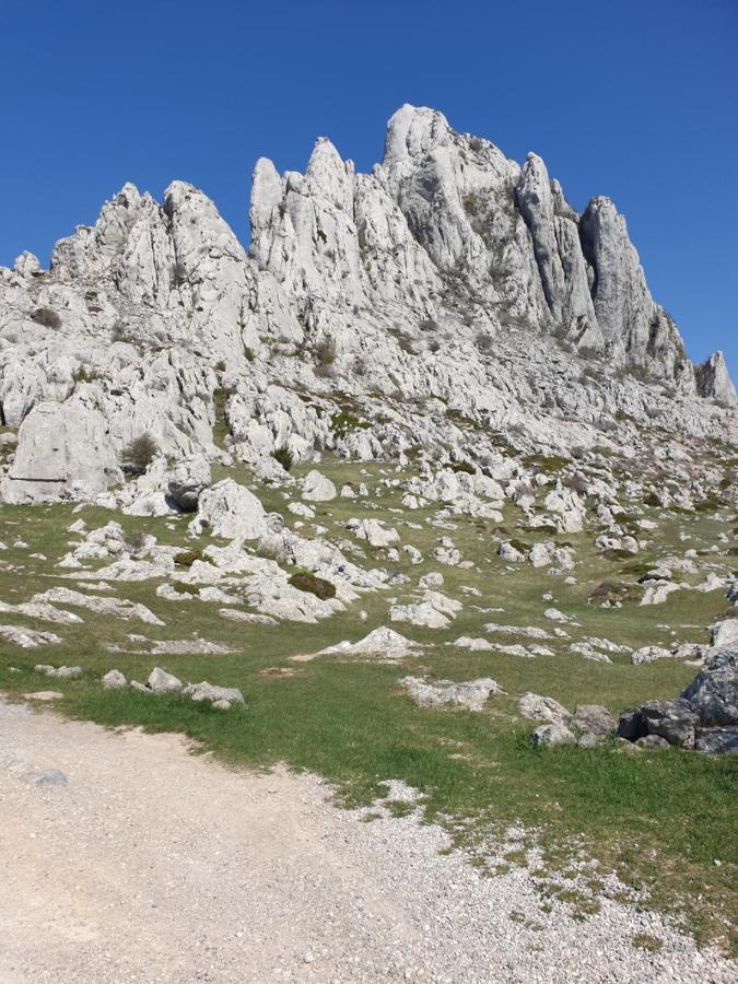 Apartmani Rudi Anic Bagian luar foto