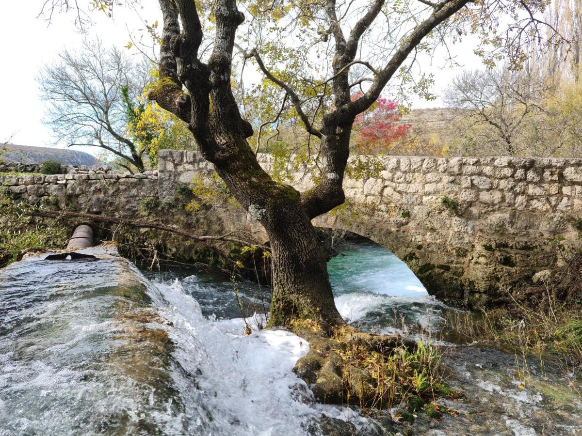 Apartmani Rudi Anic Bagian luar foto