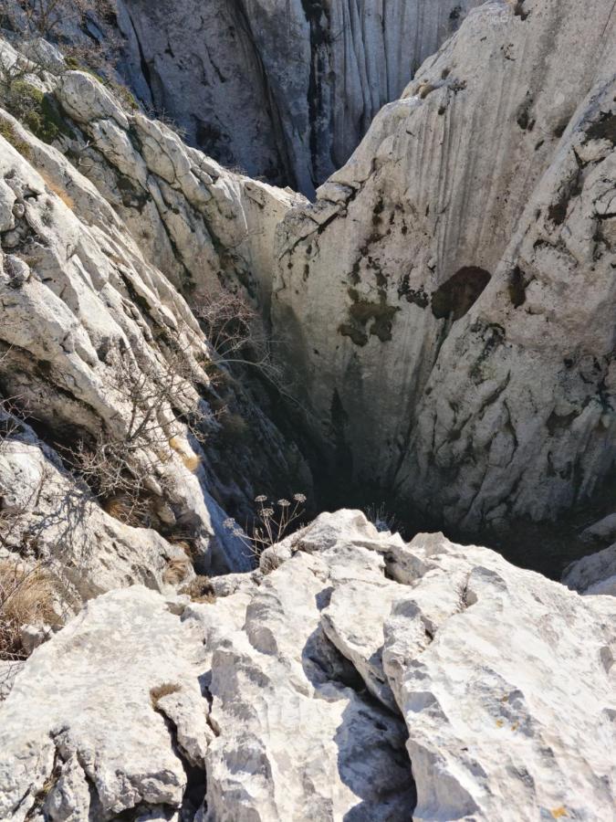 Apartmani Rudi Anic Bagian luar foto